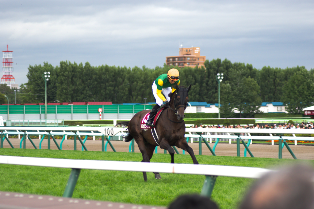 札幌競馬場