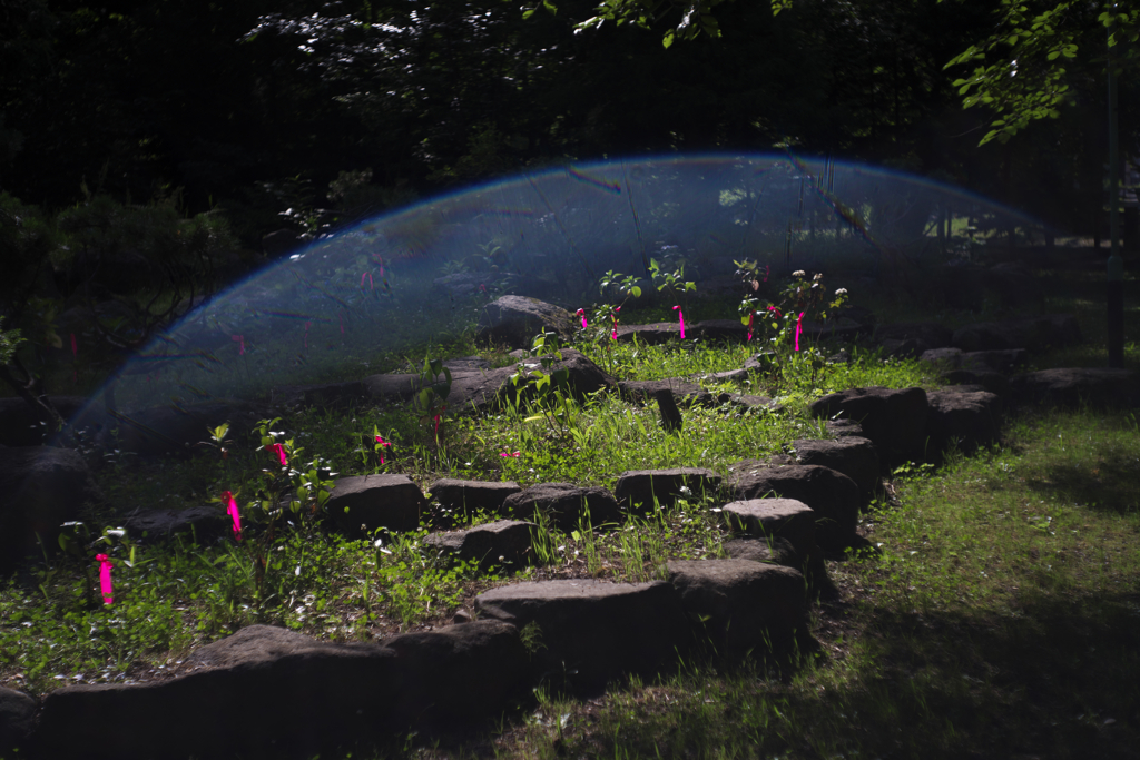 古いレンズなんてこんなもん