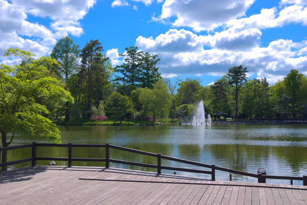 公園