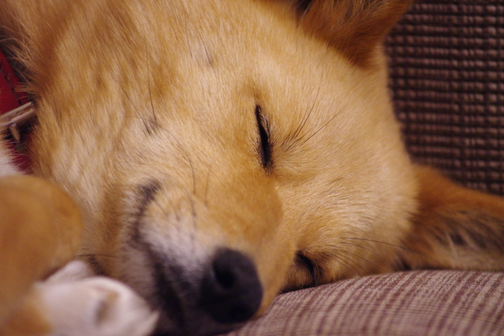 眠い