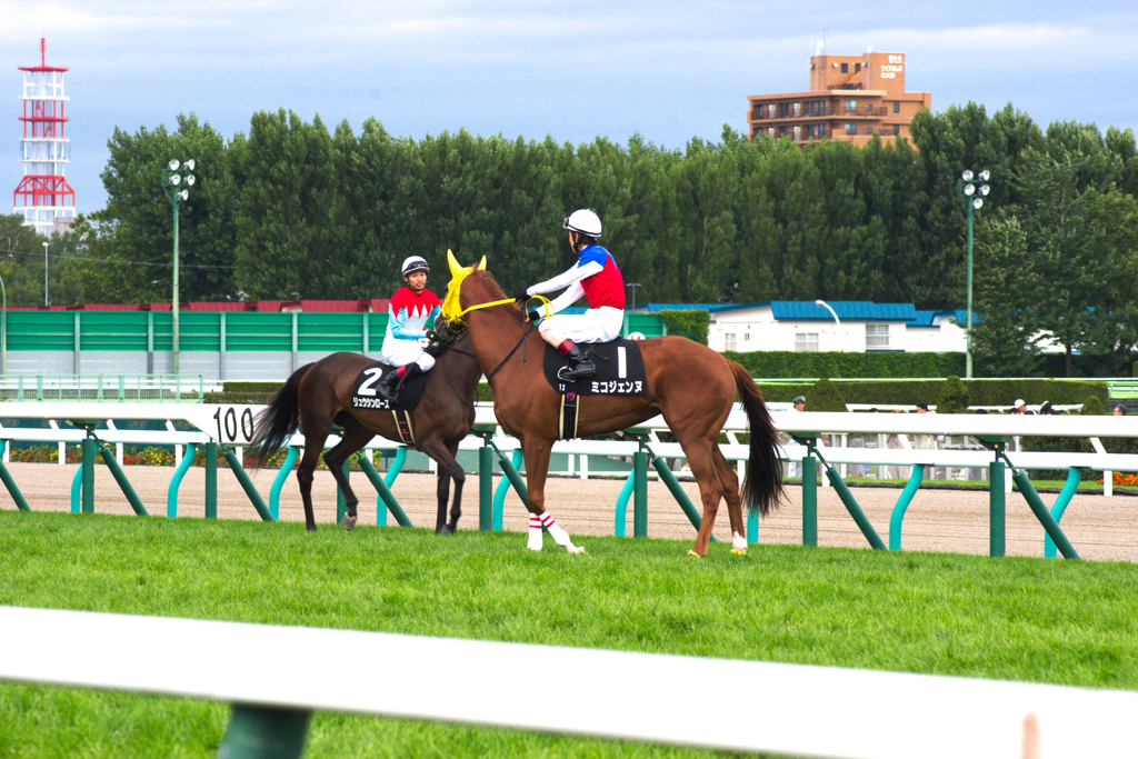 札幌競馬場