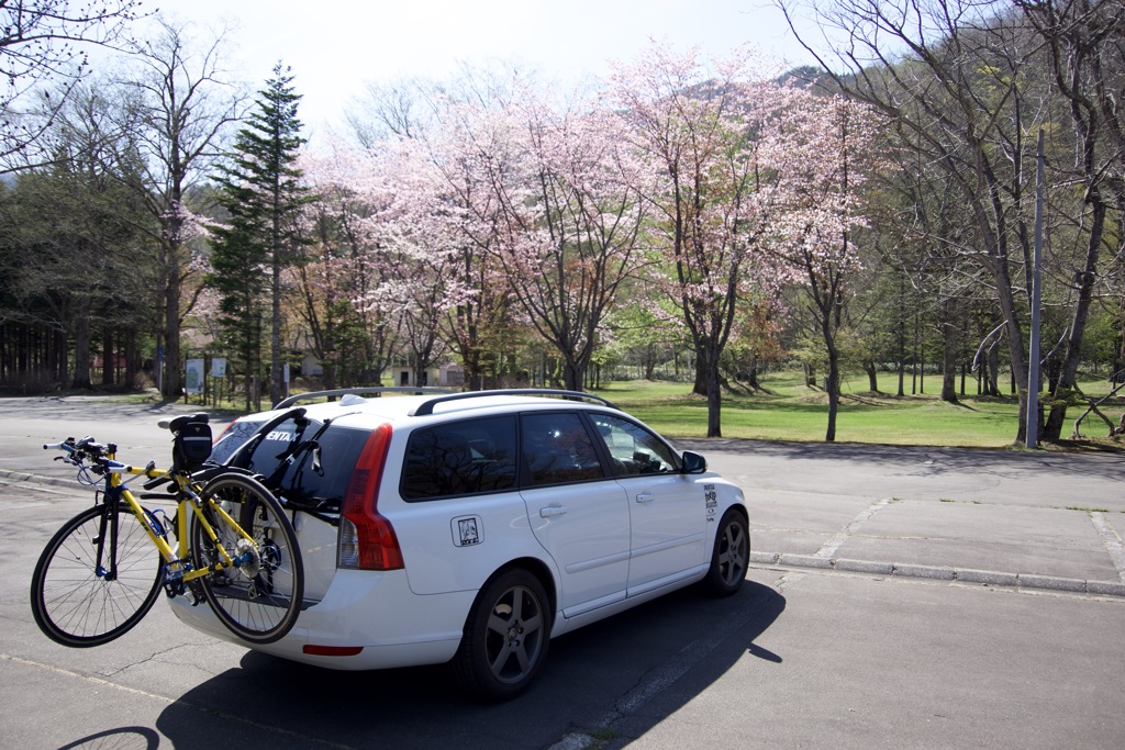 桜とVOLVOと