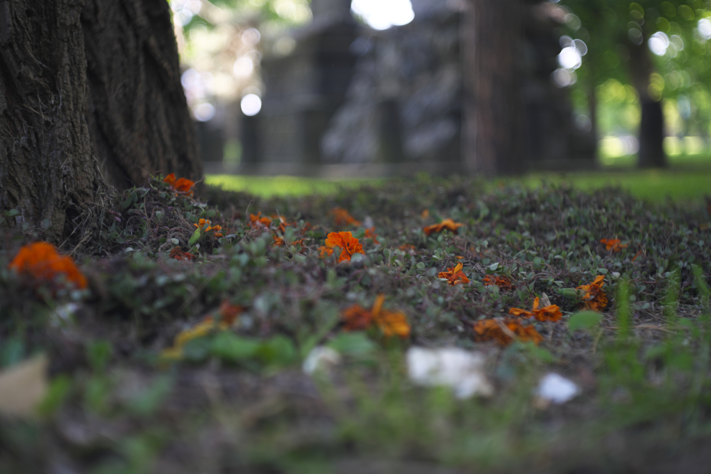 そこ踏まれなくていいですね