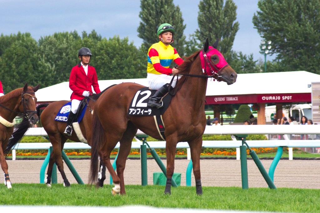 札幌競馬場
