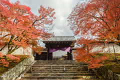 曼殊院門跡