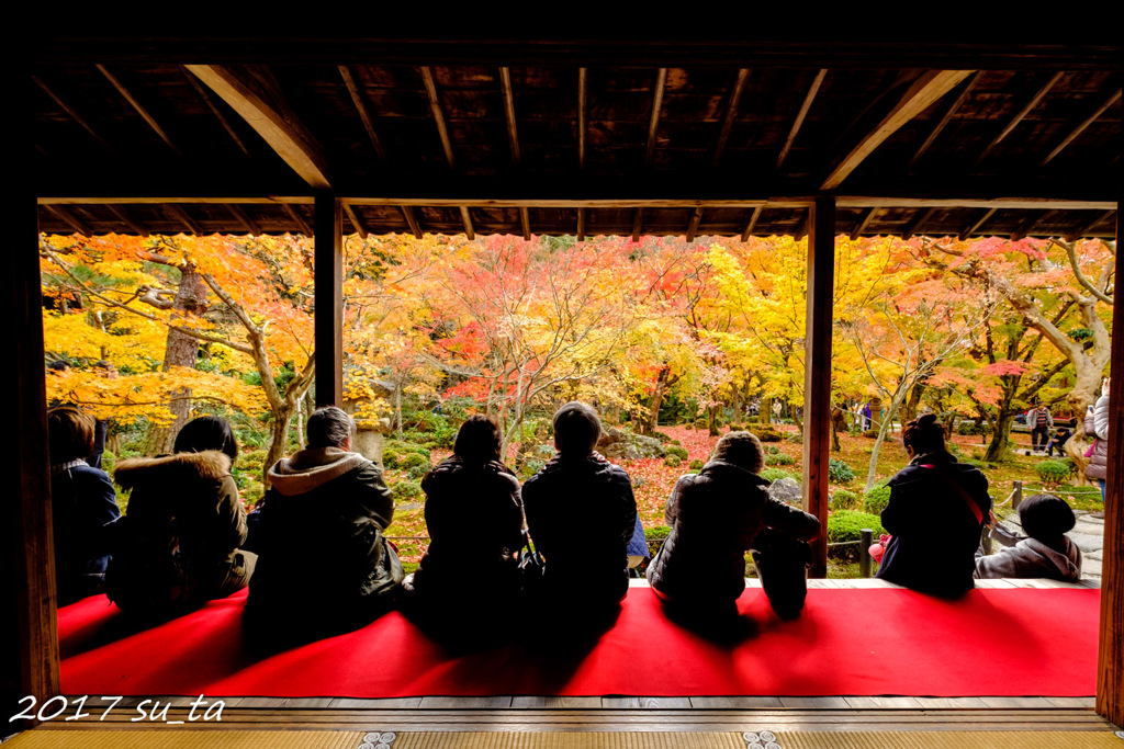 後ろからの紅葉