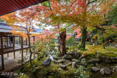 大覚寺