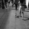街中散歩