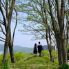 通学路
