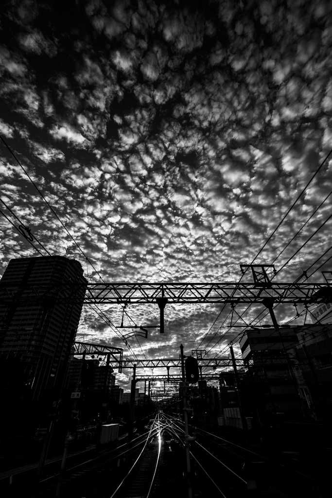 秋雲