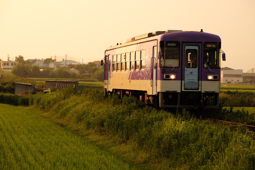 長閑な夕暮れ