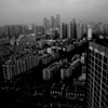 The China