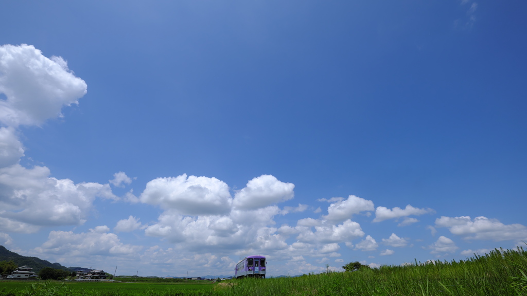 初夏