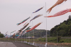 空海を泳ぐ鯉