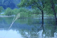 源流の森付近で