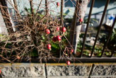 P6340151
