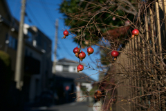 P6340153