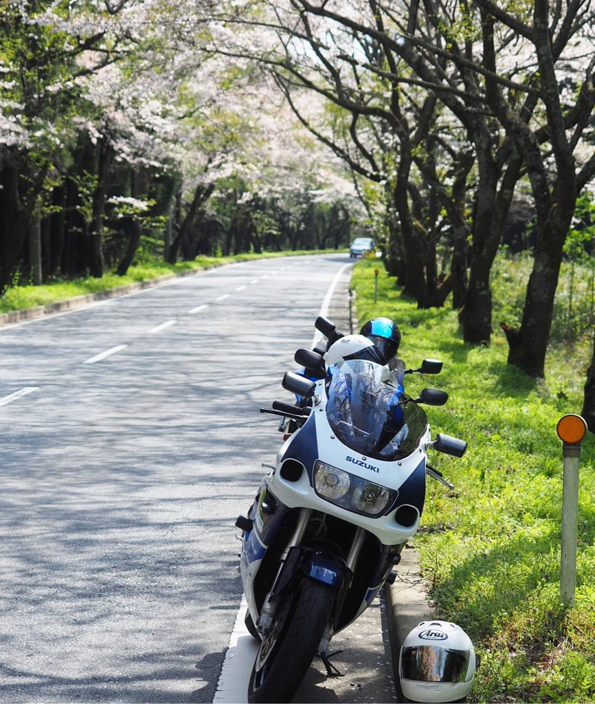 お花見ツーリング