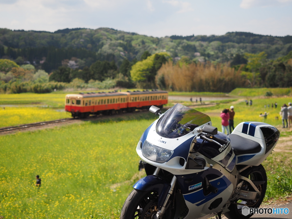 小湊鉄道とコラボ