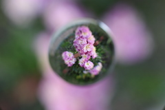 ストック　宙玉で撮ってみました。