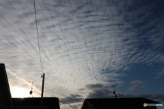 なんて寒い空