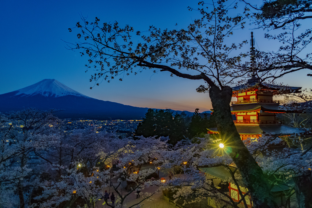 トワイライト富士＆塔＆桜１