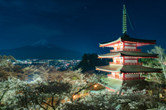 月明かりに浮かび上がる富士とライトアップされた夜桜