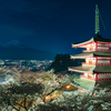 月明かりに浮かび上がる富士とライトアップされた夜桜