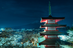 月明かりに浮かび上がる富士とライトアップされた夜桜2