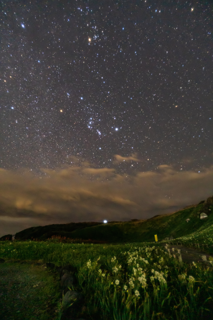 水仙まつり星景（冬の大三角）