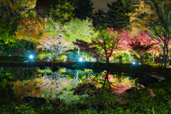昭和記念公園日本庭園４