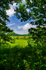 八島ケ原高層湿原２縦構図