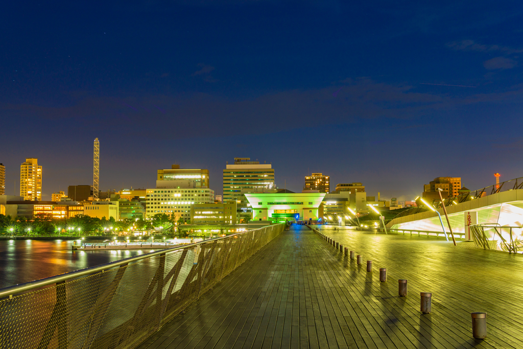 大桟橋くじらのせなかの夜景２