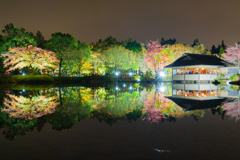 昭和記念公園日本庭園２