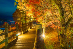 山中湖「夕焼けの渚・紅葉まつり」ライトアップ5