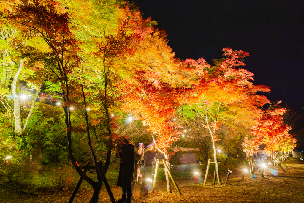 山中湖「夕焼けの渚・紅葉まつり」ライトアップ3