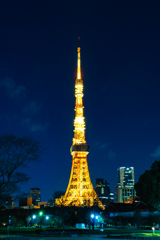 芝公園からの東京タワー縦構図
