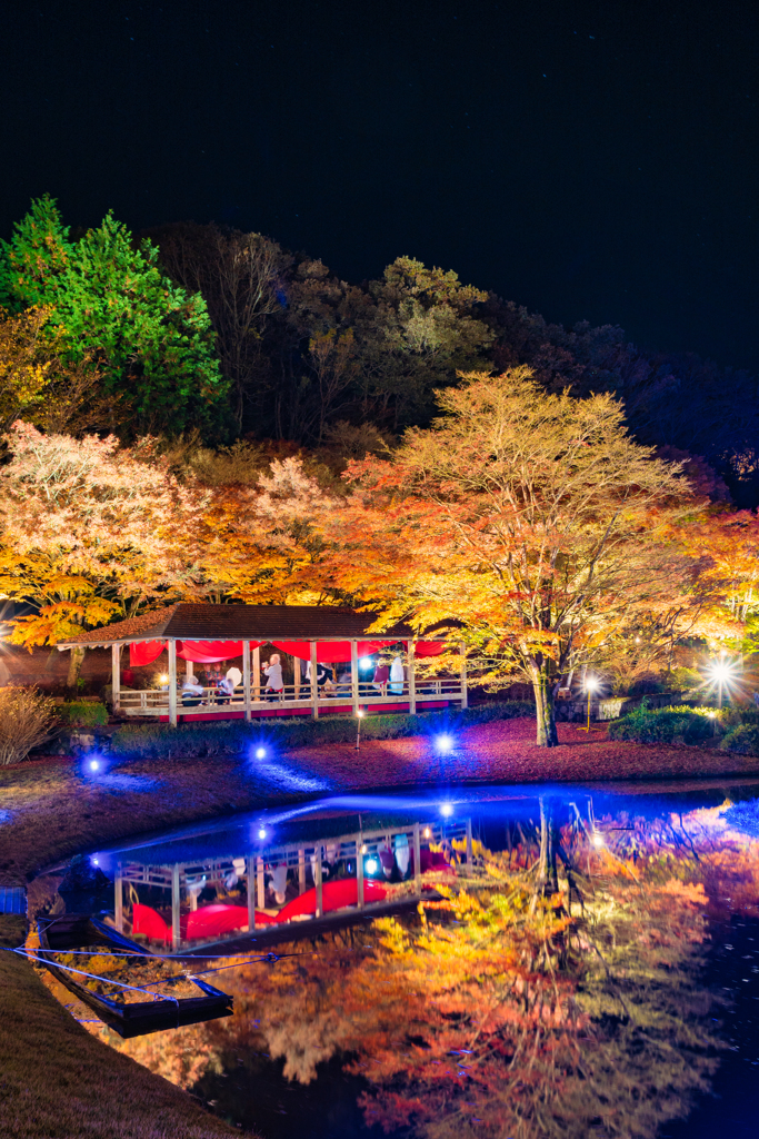 虹の郷紅葉ライトアップ