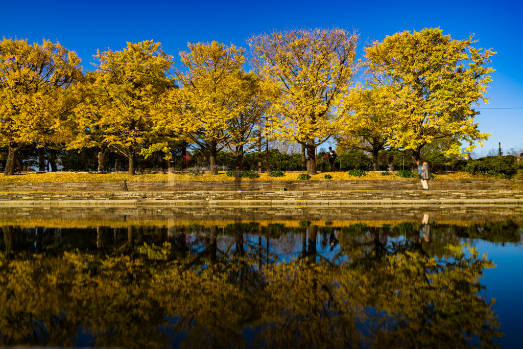 昭和記念公園４カナール