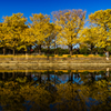 昭和記念公園４カナール