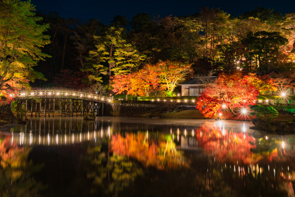 虹の郷紅葉ライトアップ２