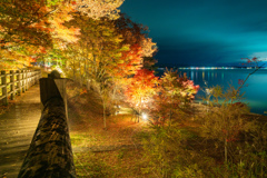 山中湖「夕焼けの渚・紅葉まつり」ライトアップ4