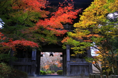 山門錦秋