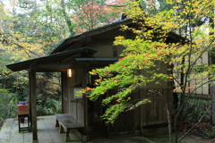 コオロギ橋の紅葉