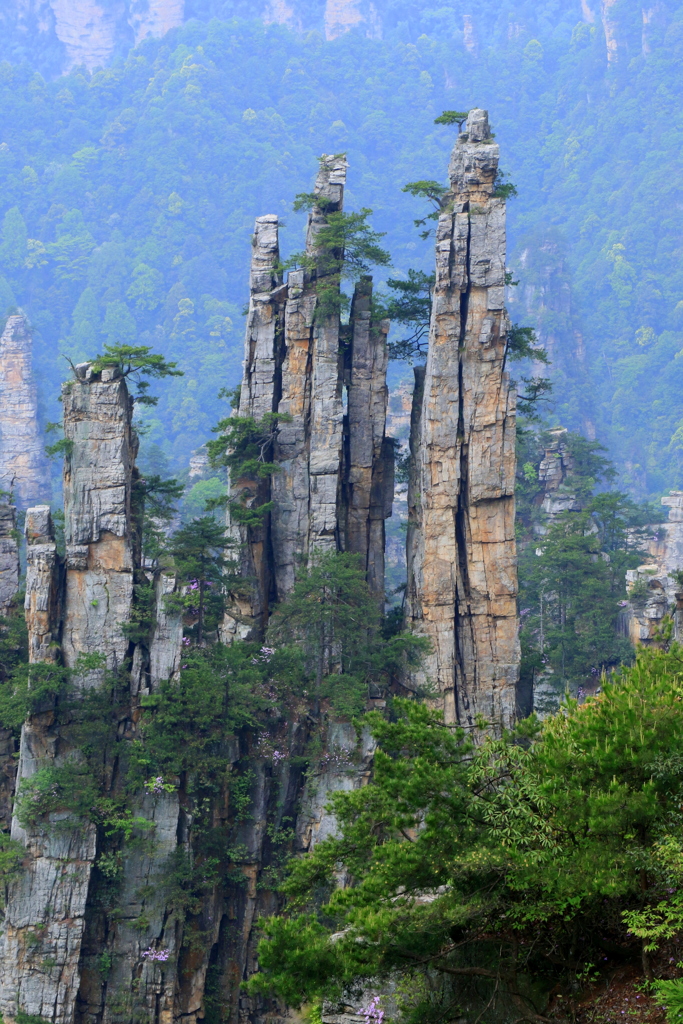 武陵源の絶景　1