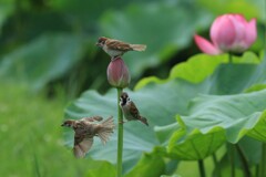 あっちのほうがいいかも