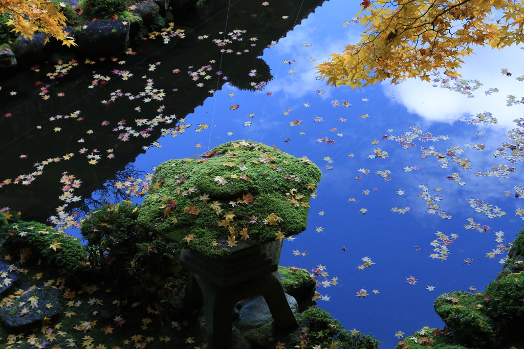 中庭秋景