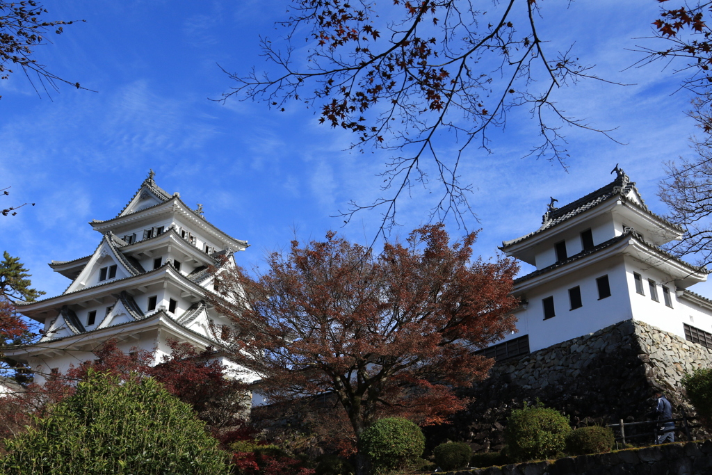 郡上八幡城