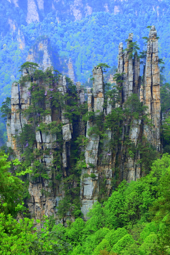 武陵源の絶景　3
