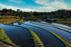 棚田の風景　3